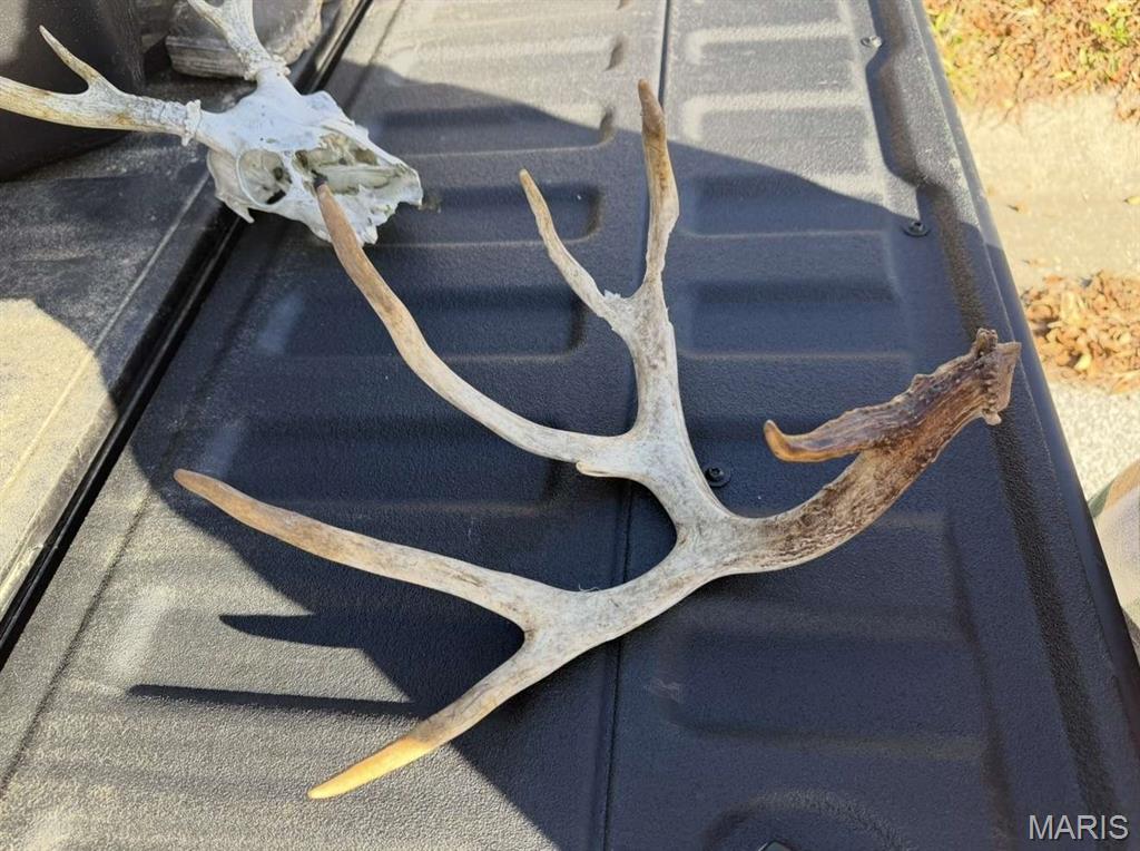 0 Maries County 447 Rd Street St. James, MO 65559 - Photo 12 of 24