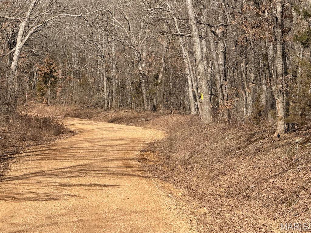 0 Maries County 447 Rd Street St. James, MO 65559 - Photo 3 of 24