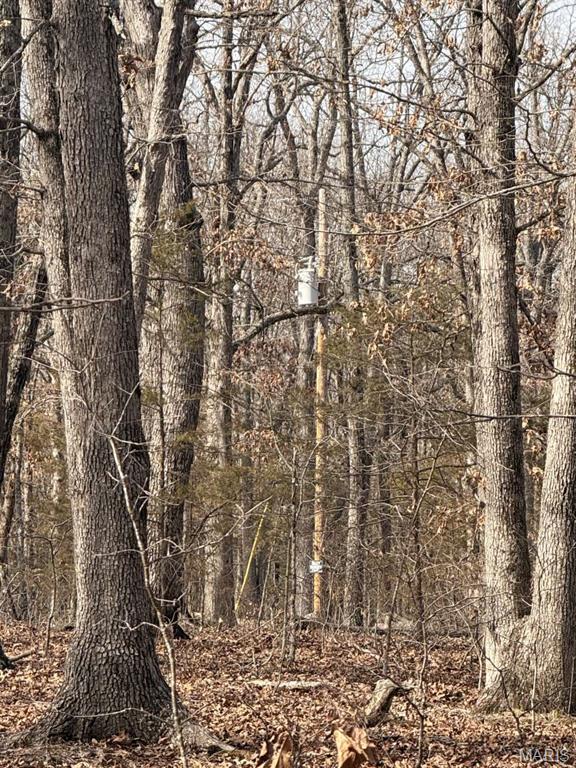 0 Maries County 447 Rd Street St. James, MO 65559 - Photo 4 of 24