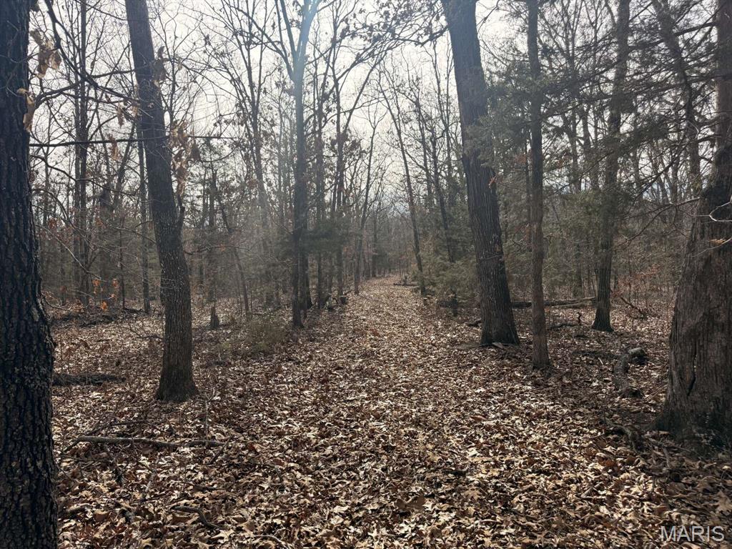 0 Maries County 447 Rd Street St. James, MO 65559 - Photo 5 of 24