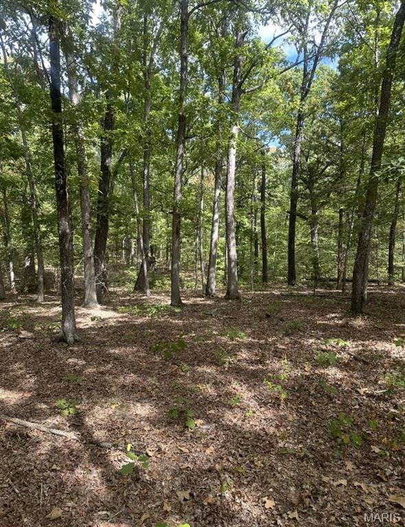 0 Maries County 447 Rd Street St. James, MO 65559 - Photo 8 of 24