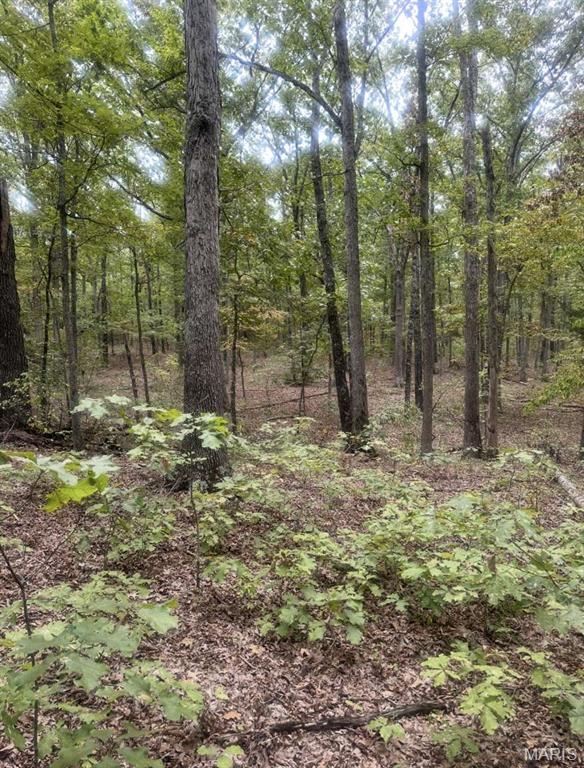 0 Maries County 447 Rd Street St. James, MO 65559 - Photo 9 of 24