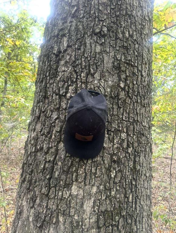 0 Maries County 447 Rd Street St. James, MO 65559 - Photo 10 of 24