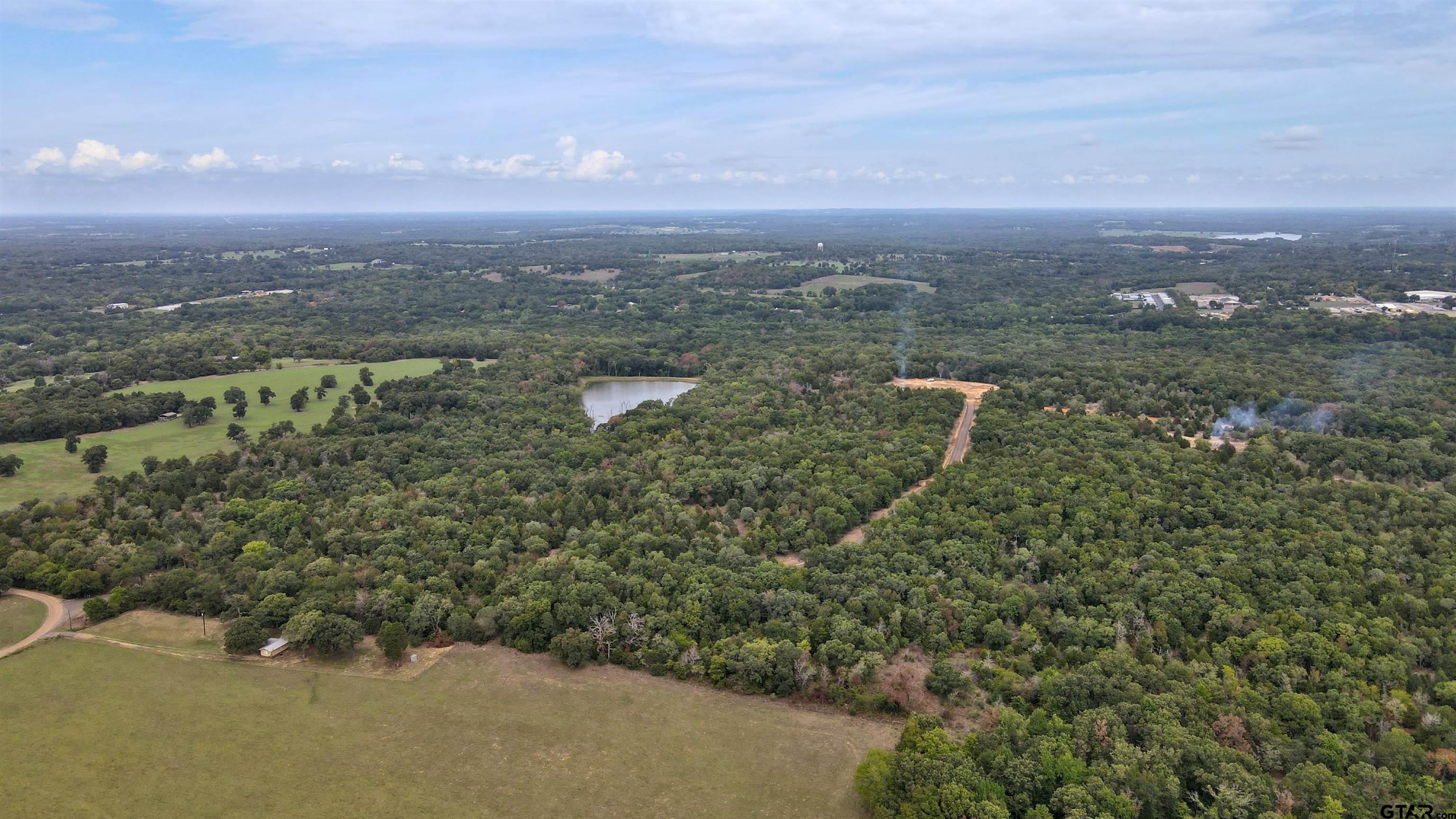 1503 Athens Tx 75751 Athens, TX 75751 - Photo 2 of 10 an aerial view of residential house with outdoor space and trees