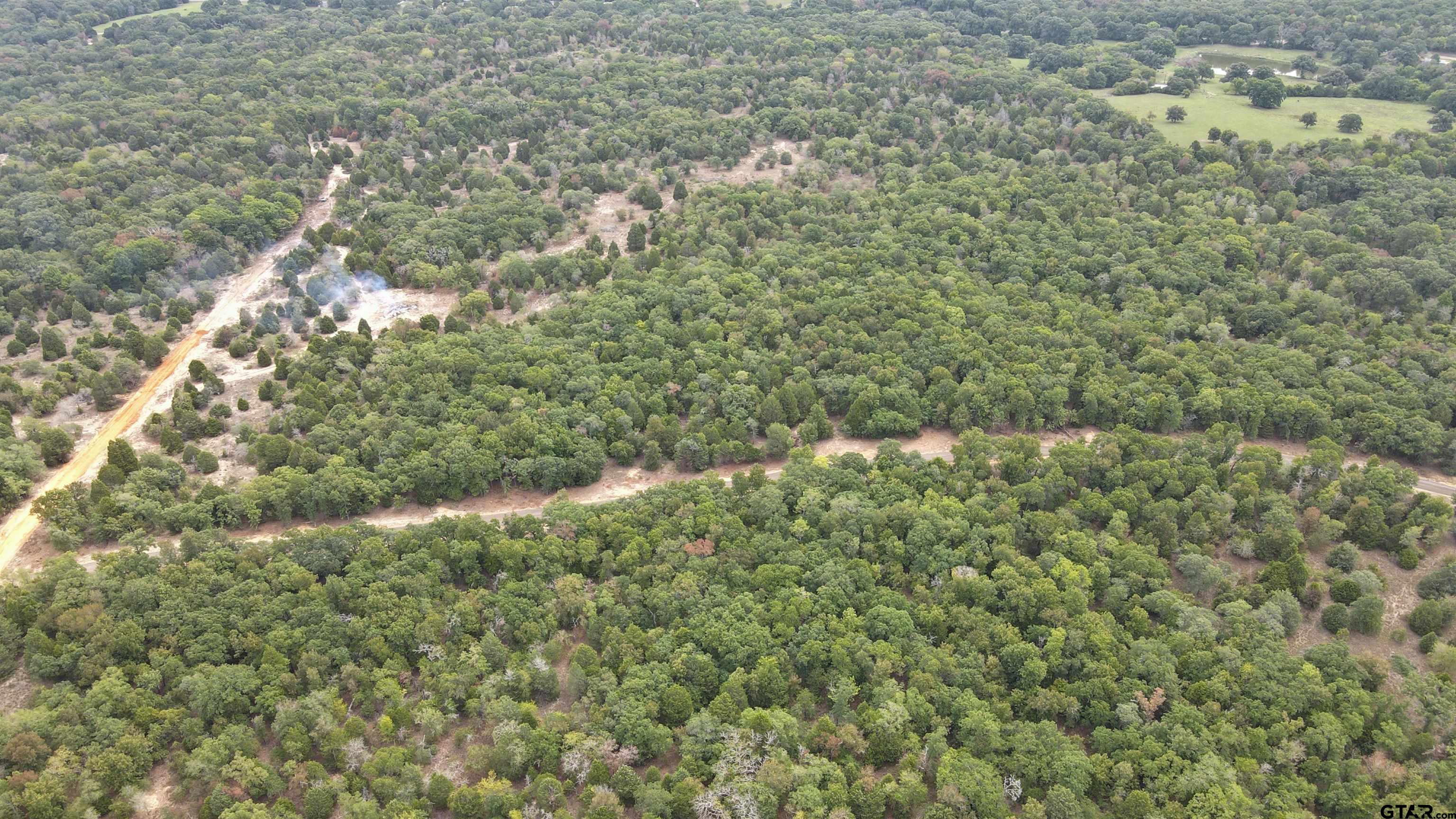 1503 Athens Tx 75751 Athens, TX 75751 - Photo 6 of 10 a view of a forest with a tree