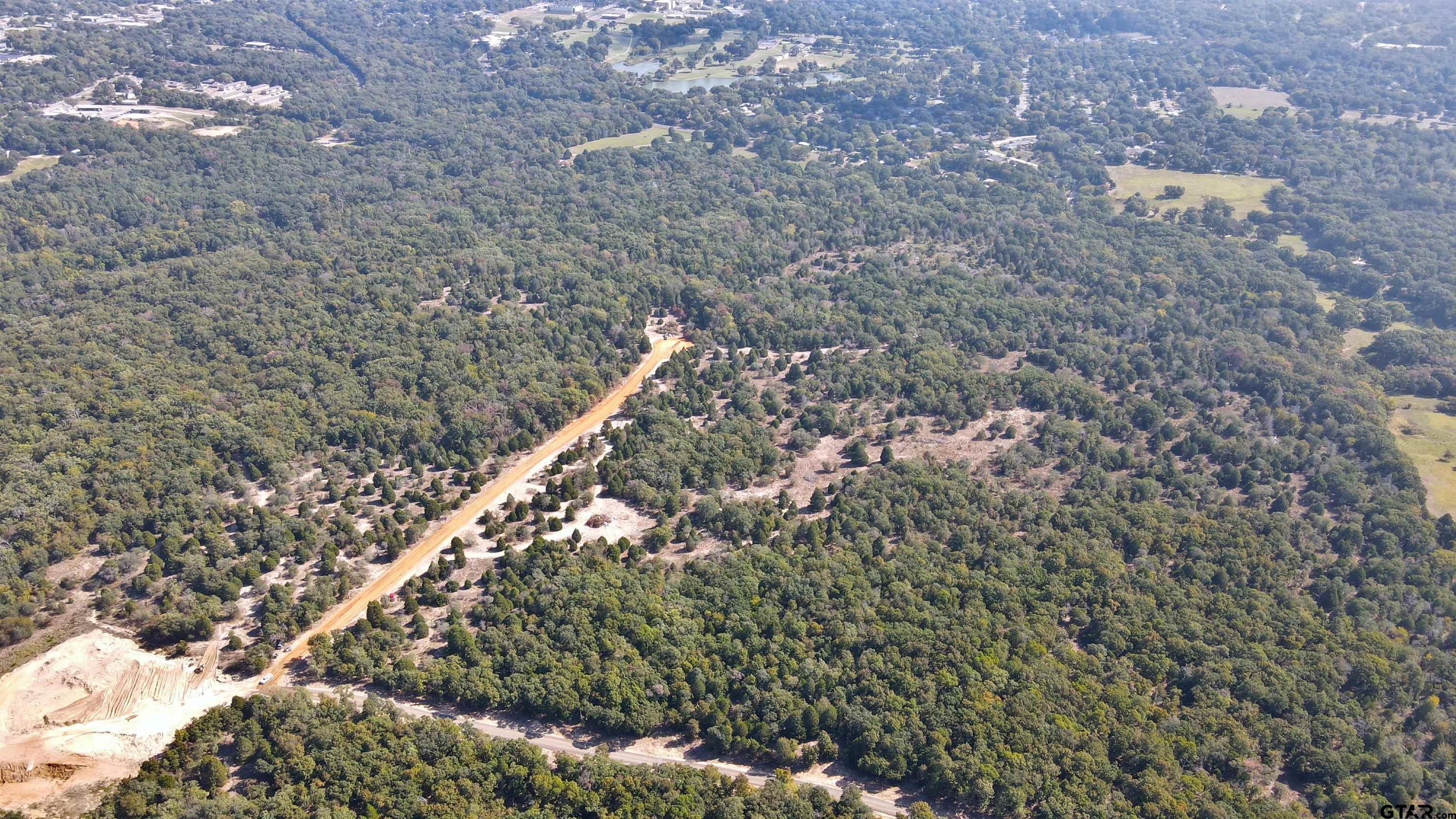1503 Athens Tx 75751 Athens, TX 75751 - Photo 7 of 10 a view of a forest with a tree