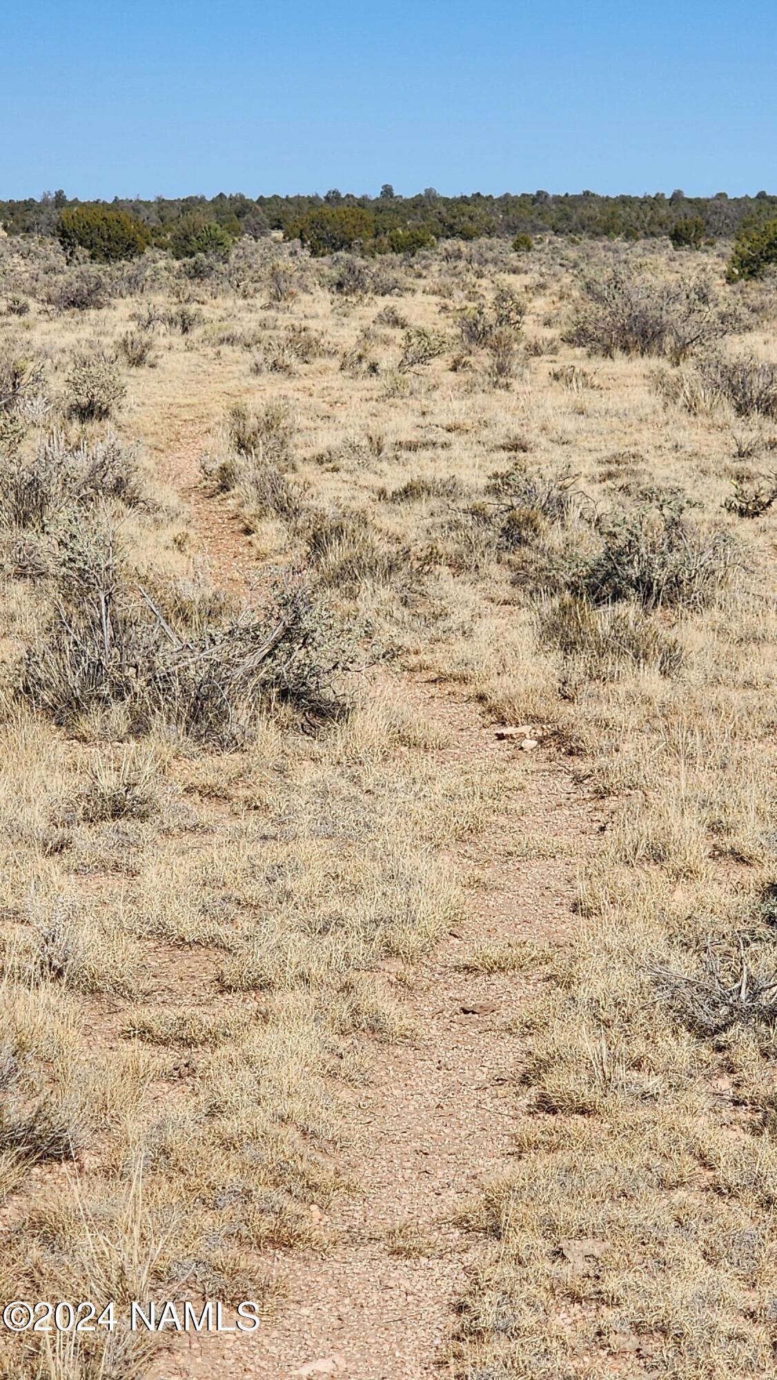 3433 Red Butte Road Williams, AZ 86046 - Photo 7 of 10 a view of sky view