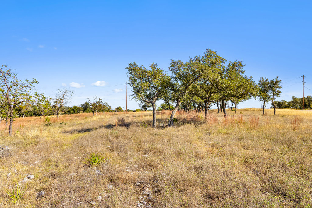 41 Moon Beam Court Blanco, TX 78606 - Photo 16 of 20 a view of a yard with a tree
