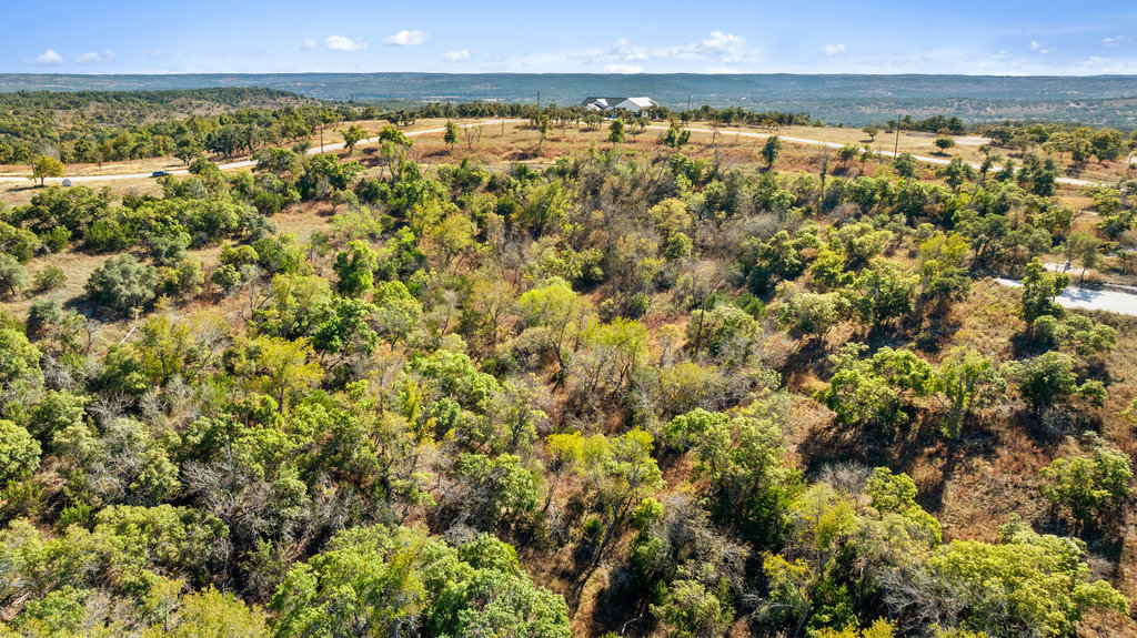 41 Moon Beam Court Blanco, TX 78606 - Photo 5 of 20