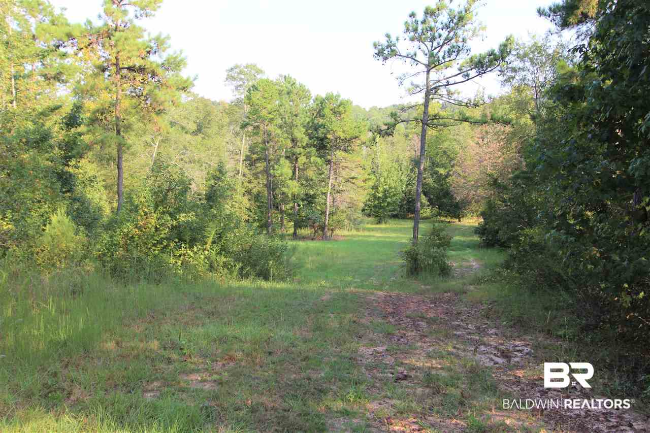 794 Dry Lake Road Luverne, AL 36049 - Photo 21 of 48 Food Plot