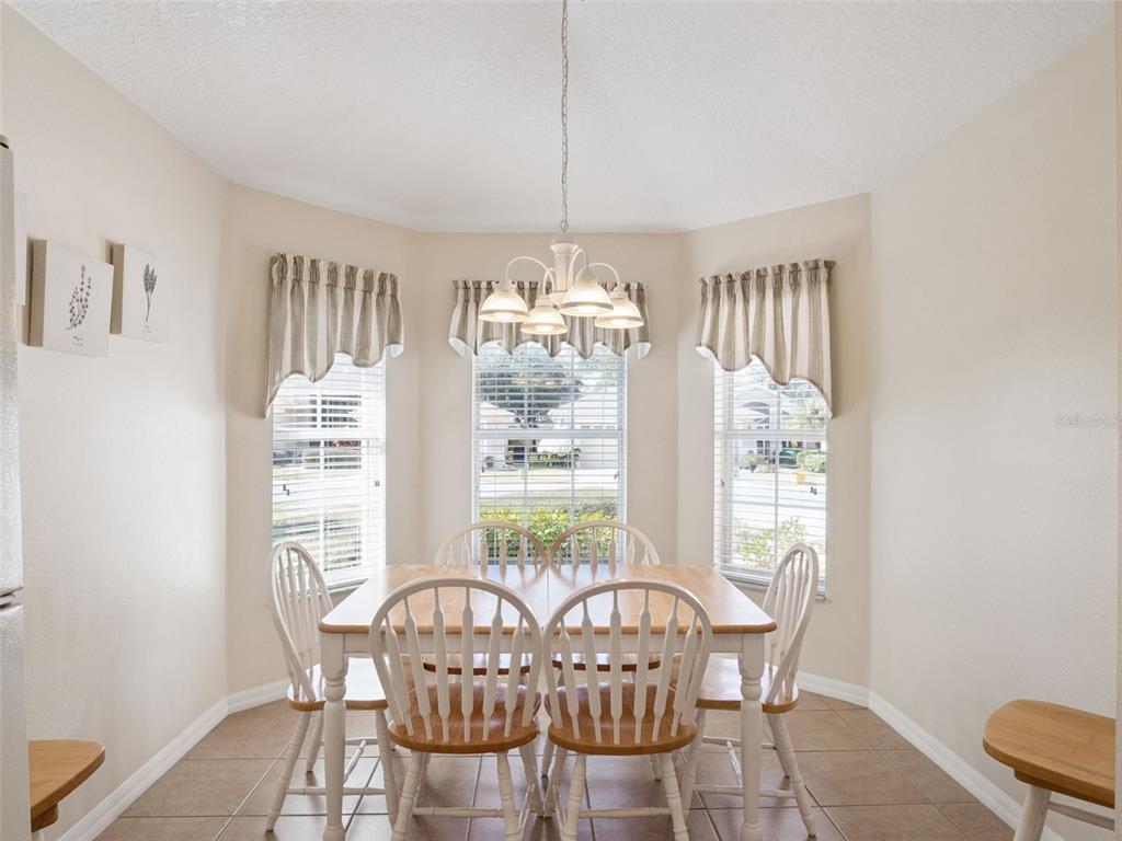 20716 Prince Ranier Place Leesburg, FL 34748 - Photo 11 of 56