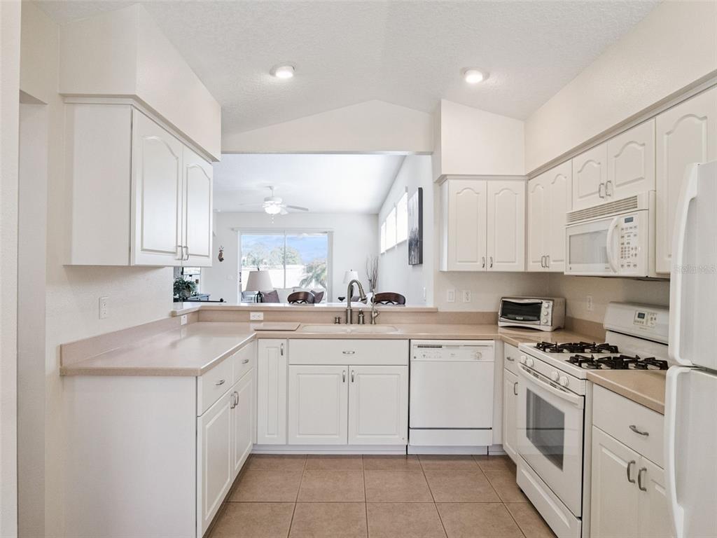 20716 Prince Ranier Place Leesburg, FL 34748 - Photo 9 of 56