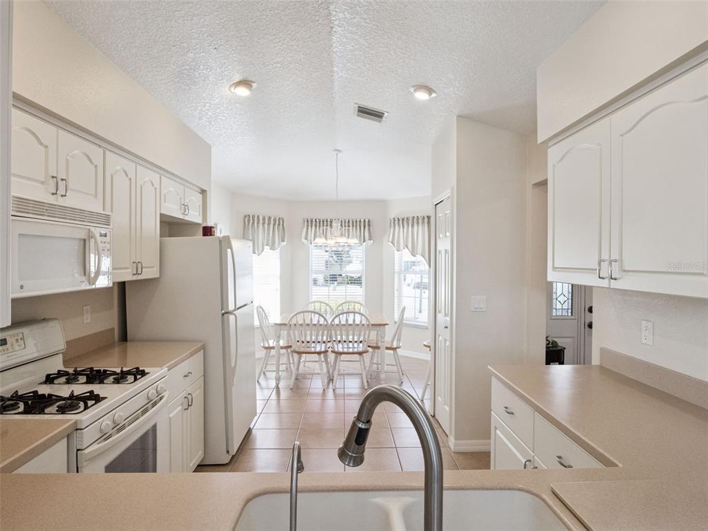 20716 Prince Ranier Place Leesburg, FL 34748 - Photo 10 of 56