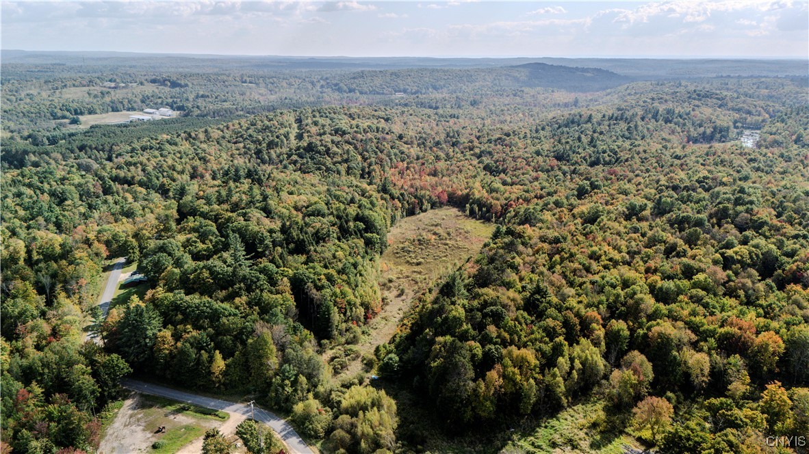 Lot A Corbine Road Harrisville, NY 13648 - Photo 4 of 7