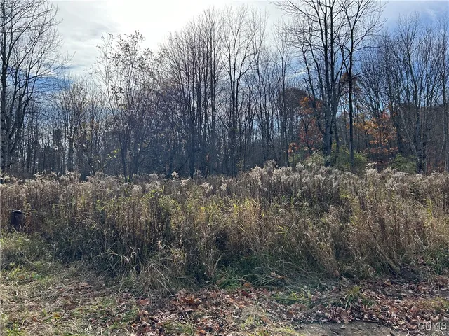 $40,000 | Lot A Corbine Road, Harrisville, NY 13648