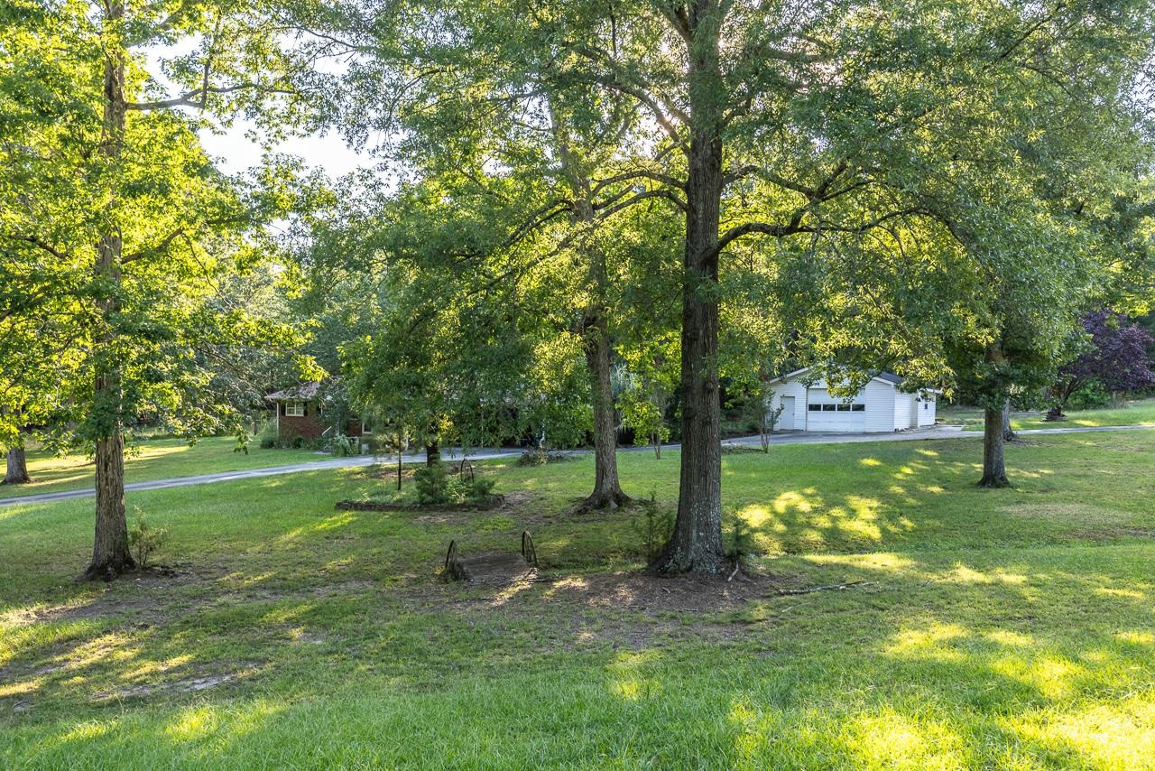 5815 Paragon Circle Durham, NC 27712 - Photo 26 of 41 a view of a park with large trees