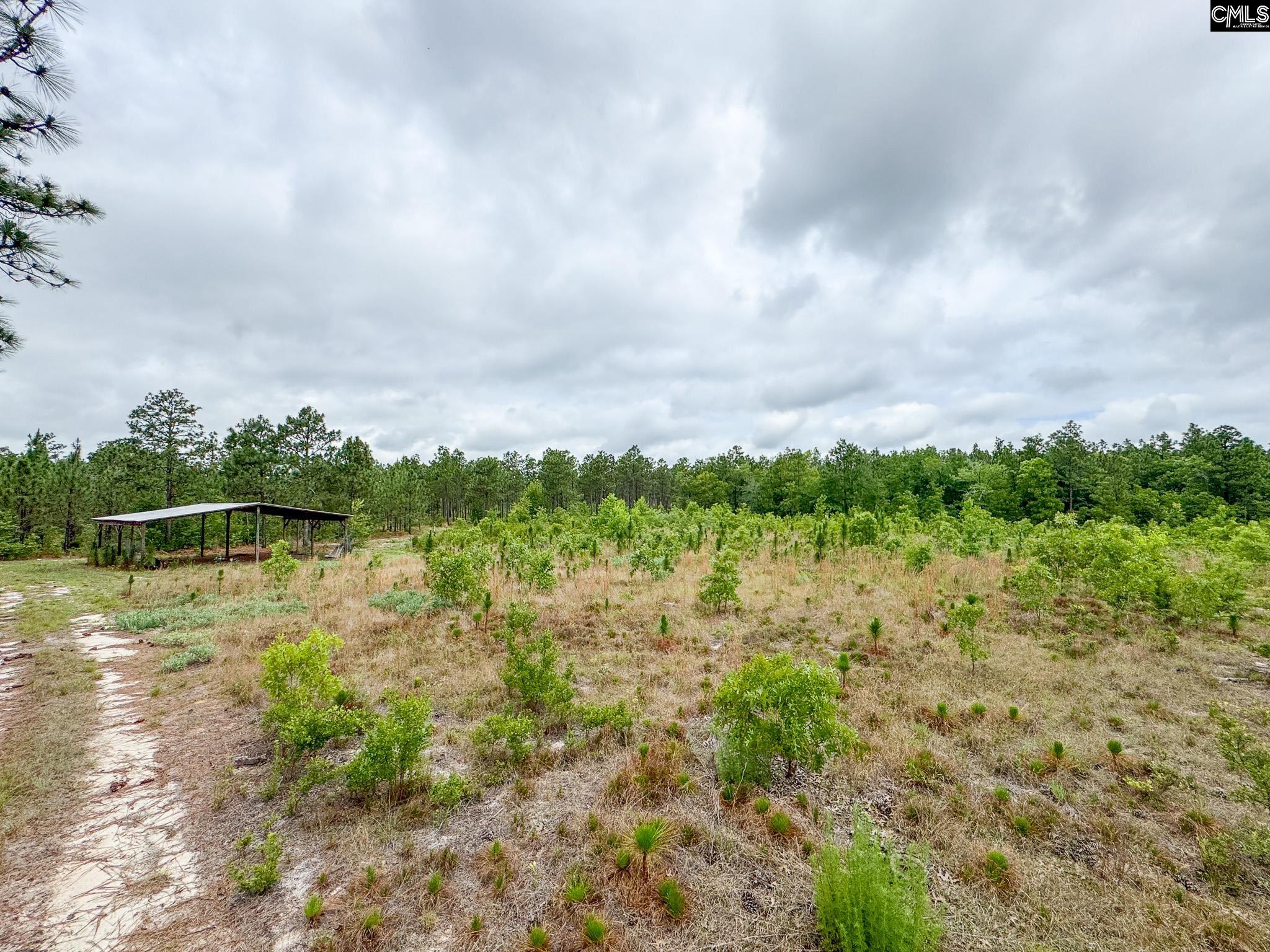 0 Neely Wingard Road, Unit LOT 5 Leesville, SC 29070 - Photo 9 of 10