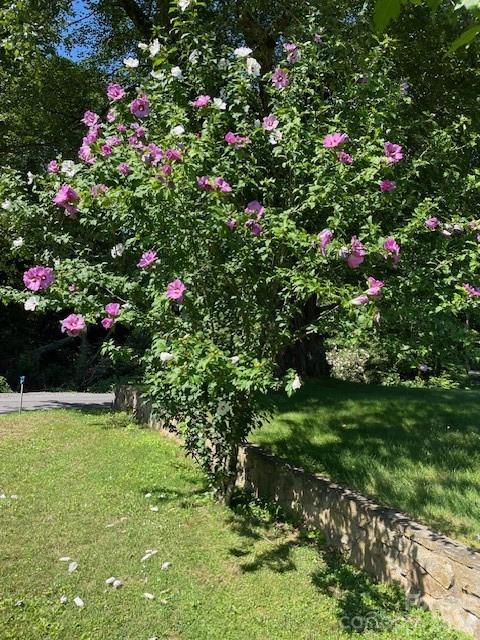 100 Chapel Road Black Mountain, NC 28711 - Photo 29 of 30 a view of a flower garden in a backyard