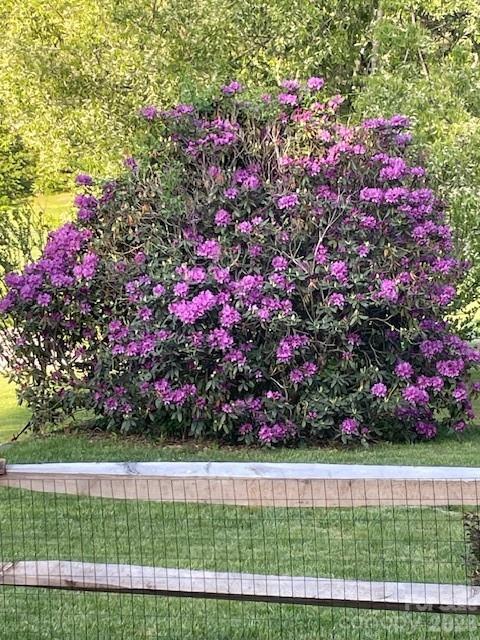 100 Chapel Road Black Mountain, NC 28711 - Photo 30 of 30 a view of a garden