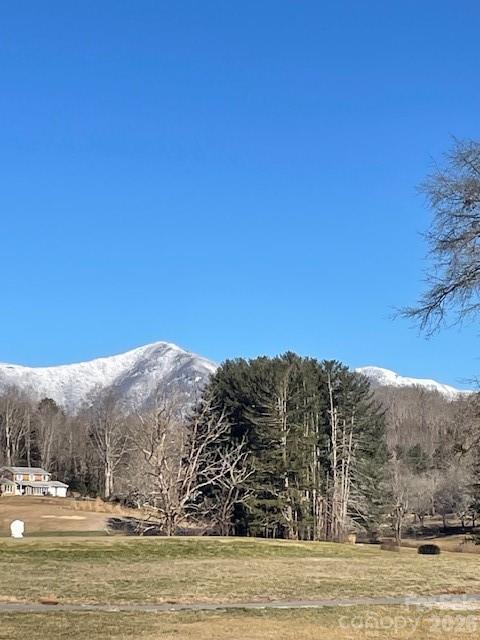 100 Chapel Road Black Mountain, NC 28711 - Photo 10 of 30 a view of a mountain