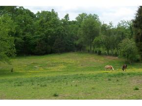 176 Smalling Road Watauga, TN 37694 - Photo 4 of 9 Photo 4
