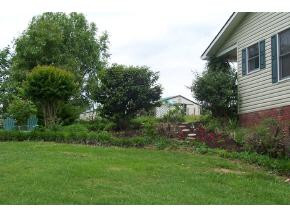 176 Smalling Road Watauga, TN 37694 - Photo 8 of 9 Photo 8