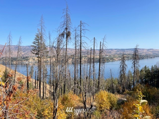 -nna South Lakeshore Road, Unit LOT B Chelan, WA 98816 - Photo 11 of 12 Gallery Image 11