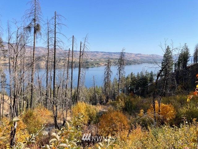 -nna South Lakeshore Road, Unit LOT B Chelan, WA 98816 - Photo 9 of 12 Gallery Image 9