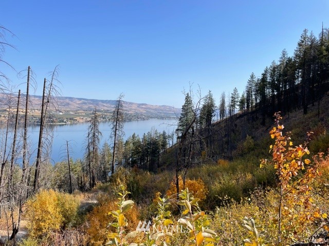 -nna South Lakeshore Road, Unit LOT B Chelan, WA 98816 - Photo 10 of 12 Gallery Image 10