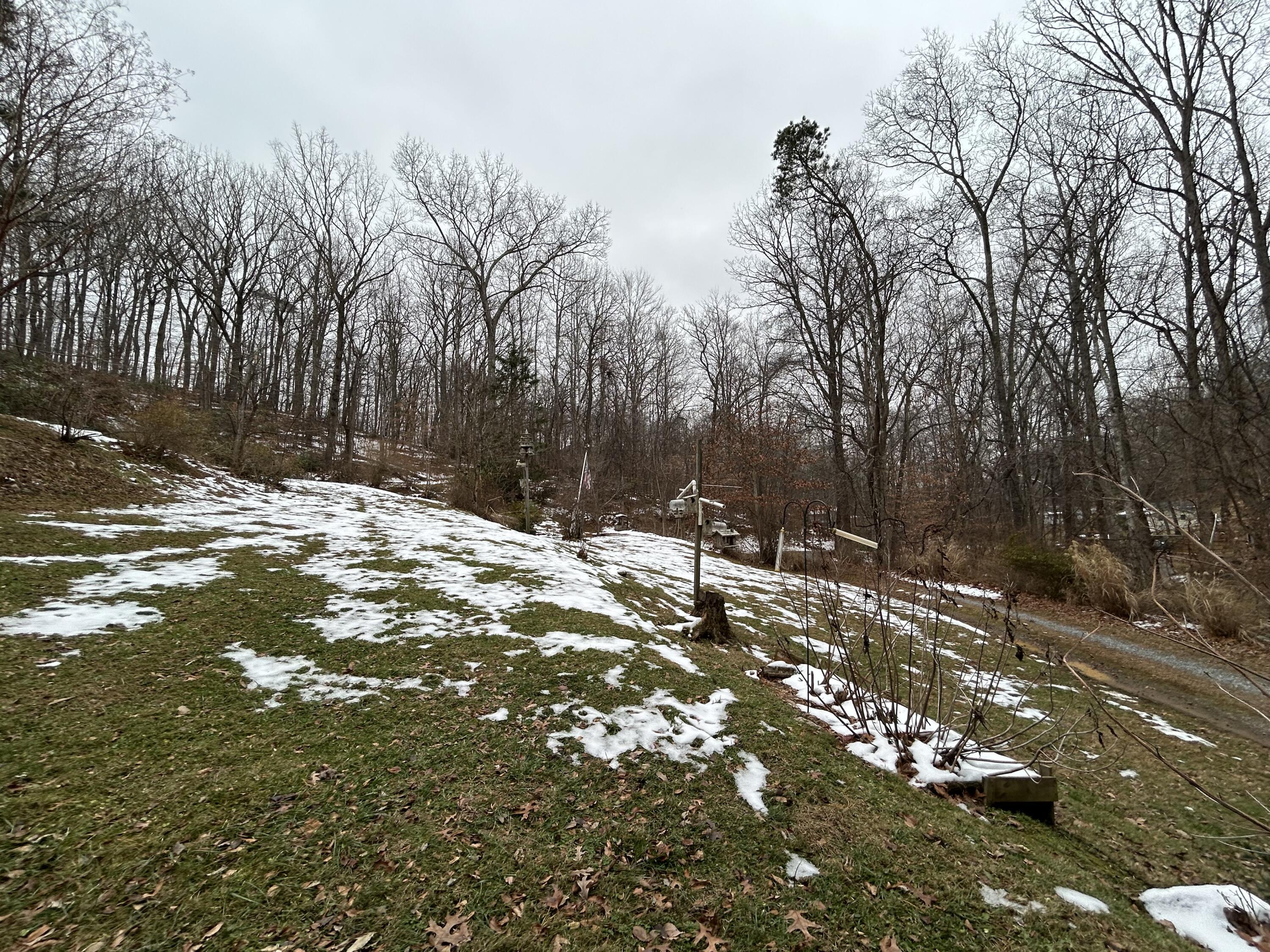 308 Spring Hollow Road Troutville, VA 24175 - Photo 24 of 24 IMG_7177