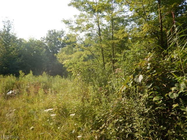 North County Line Road Geneva, OH 44041 - Photo 28 of 32