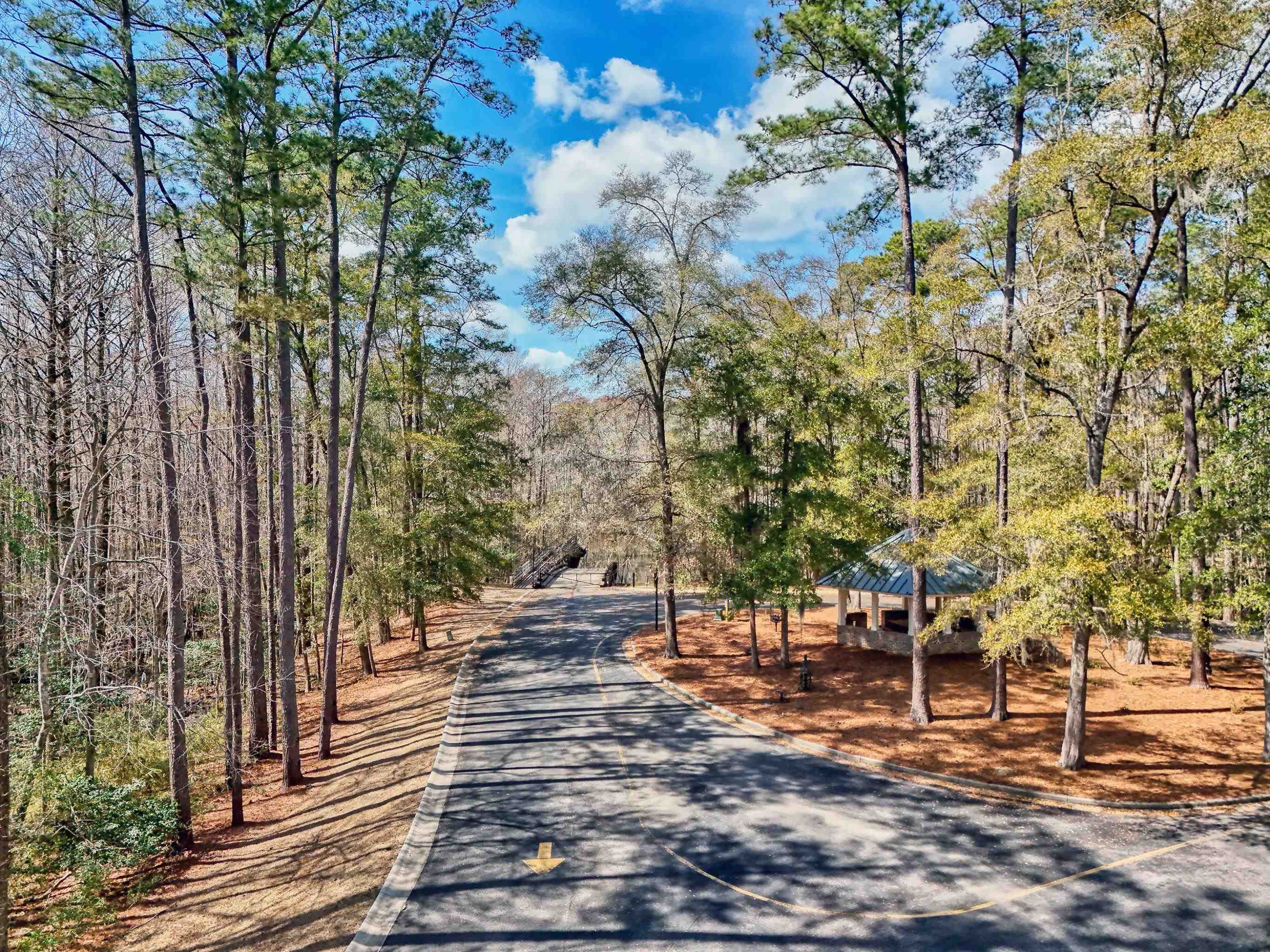 6 Caleb Court Murrells Inlet, SC 29576 - Photo 56 of 62