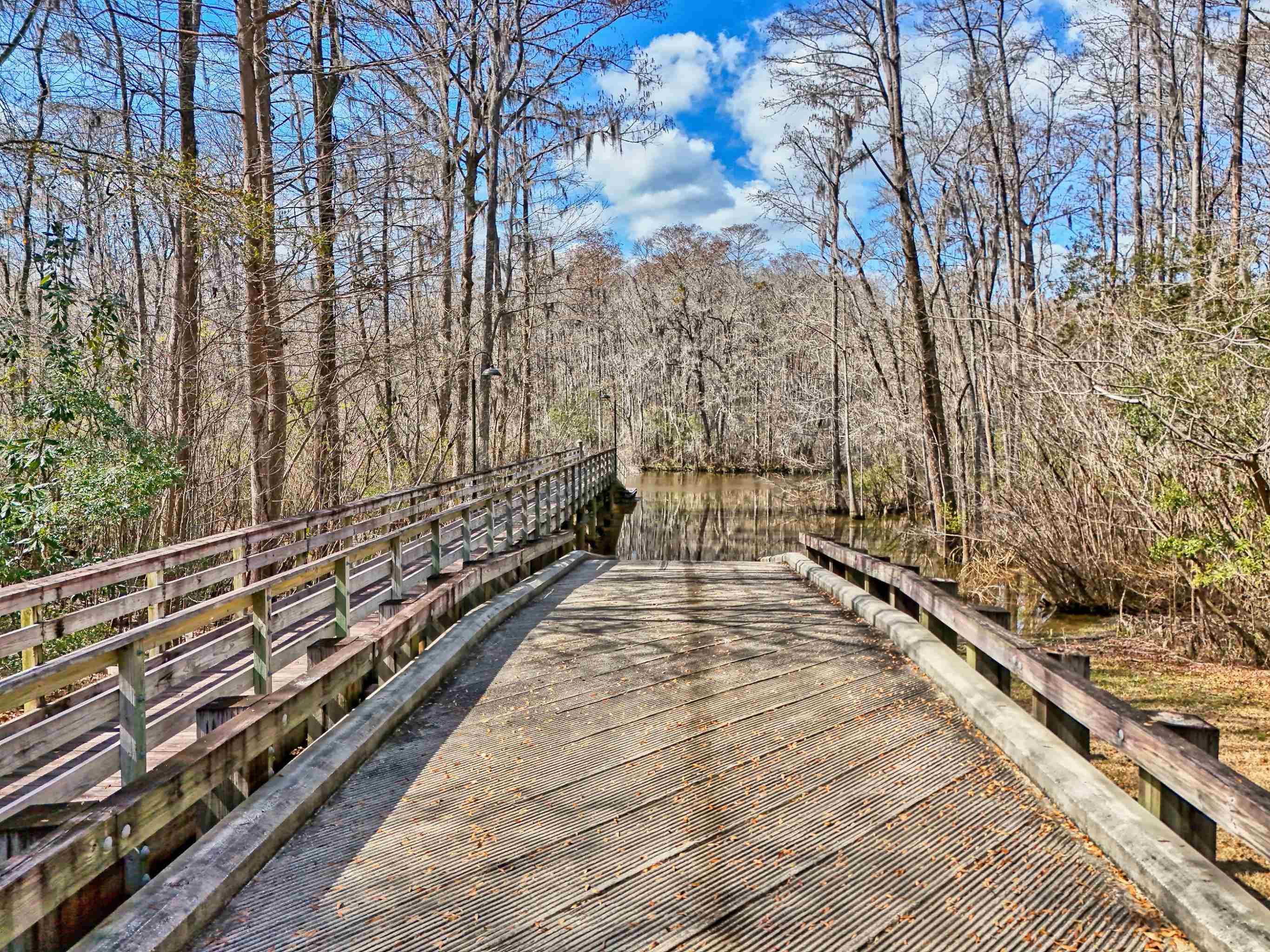 6 Caleb Court Murrells Inlet, SC 29576 - Photo 58 of 62