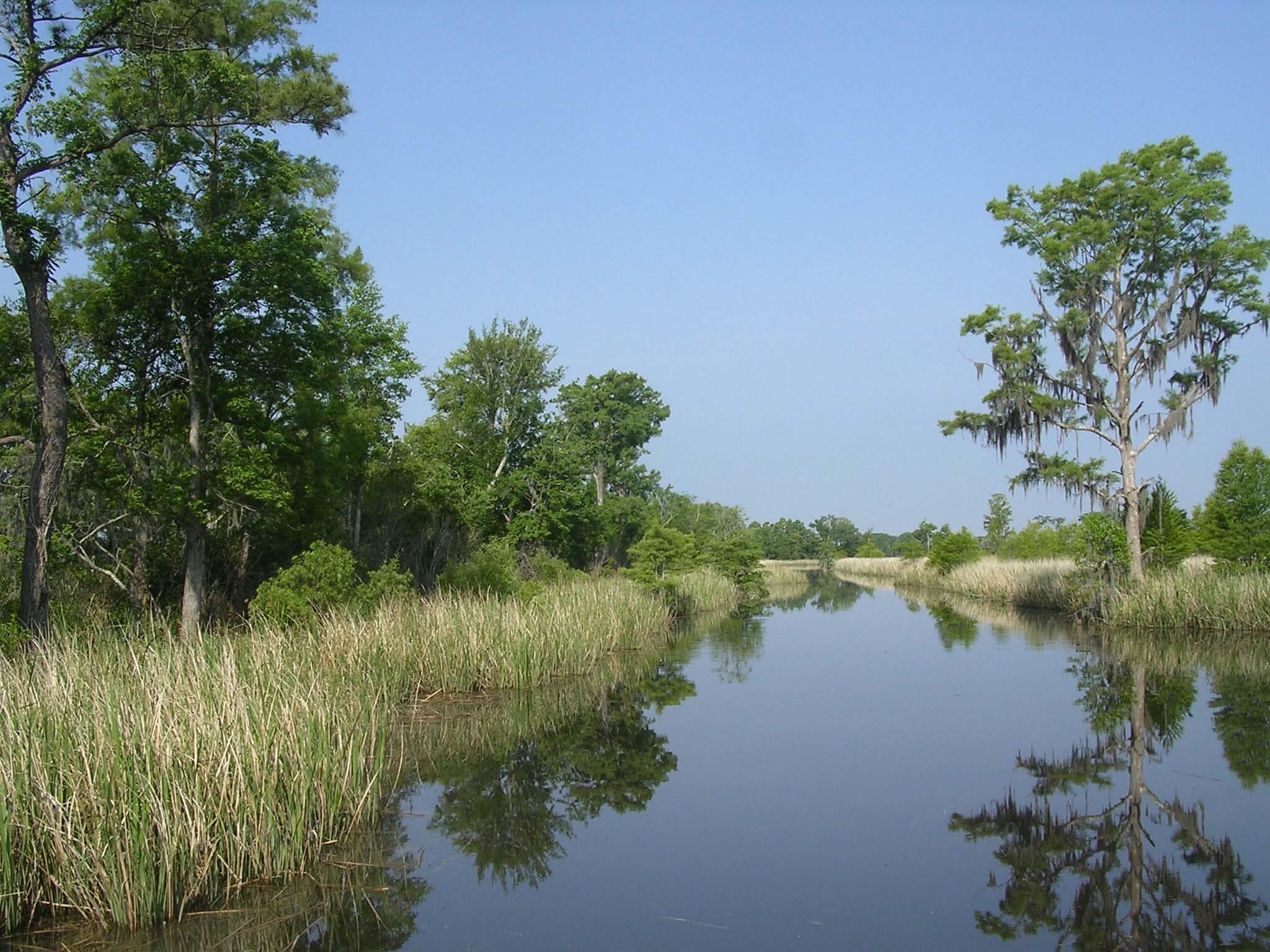 6 Caleb Court Murrells Inlet, SC 29576 - Photo 60 of 62