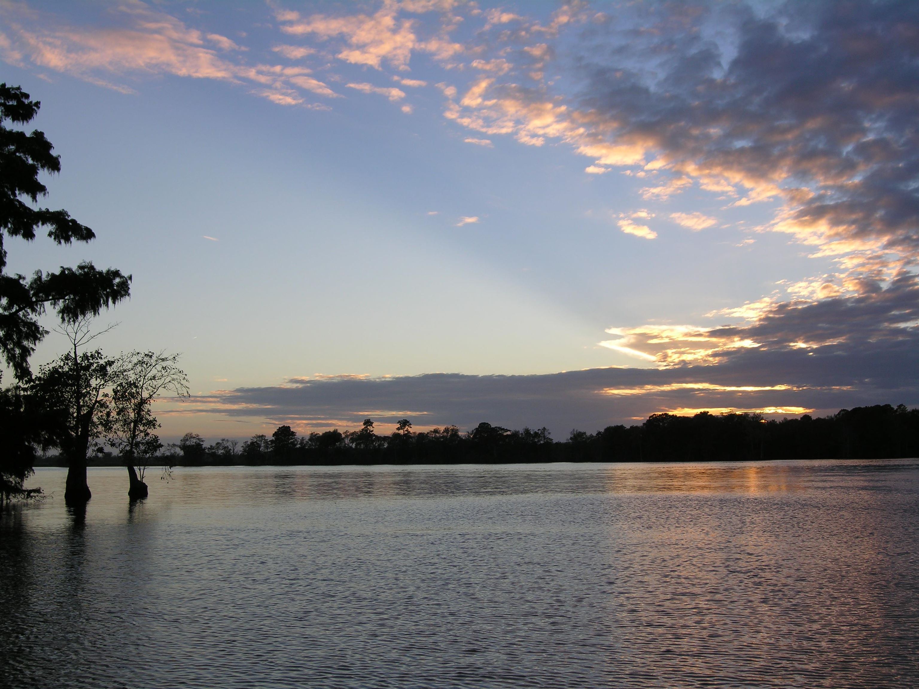6 Caleb Court Murrells Inlet, SC 29576 - Photo 61 of 62
