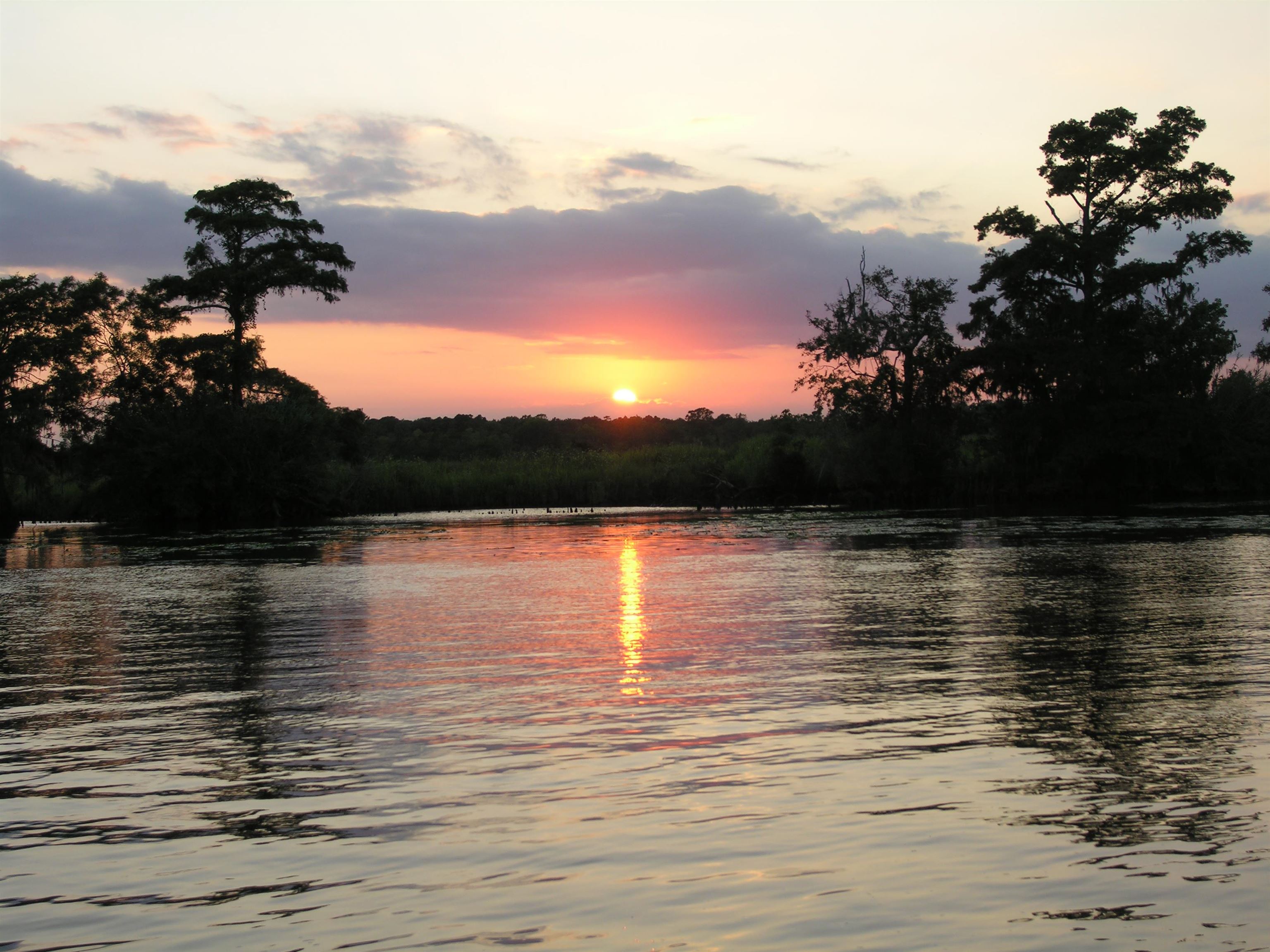 6 Caleb Court Murrells Inlet, SC 29576 - Photo 62 of 62