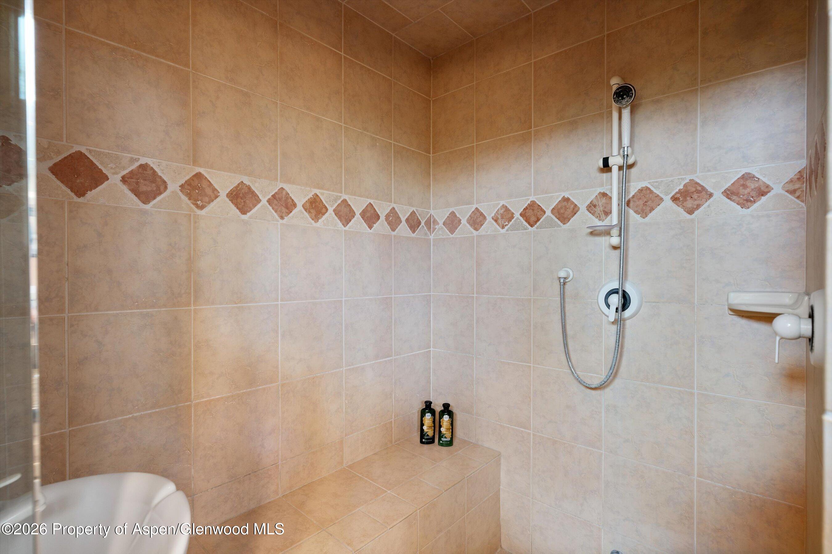 115 Rural Mountain Road Snowmass, CO 81654 - Photo 20 of 37 PrimaryBathroomShower