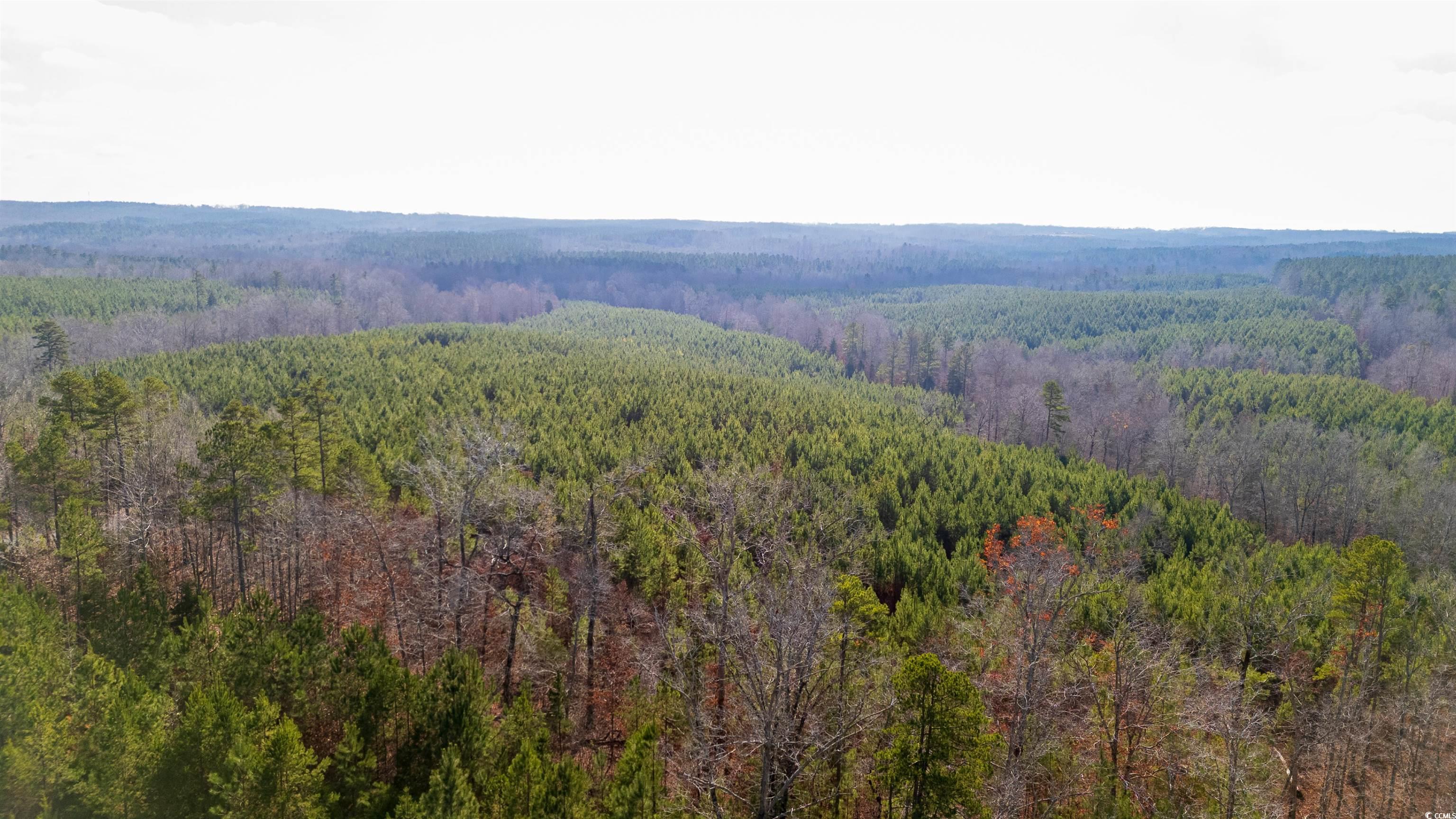 Duckwood Road Heath Springs, SC 29058 - Photo 11 of 11