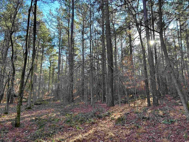 $1,332,500 | Duckwood Road, Heath Springs, SC 29058