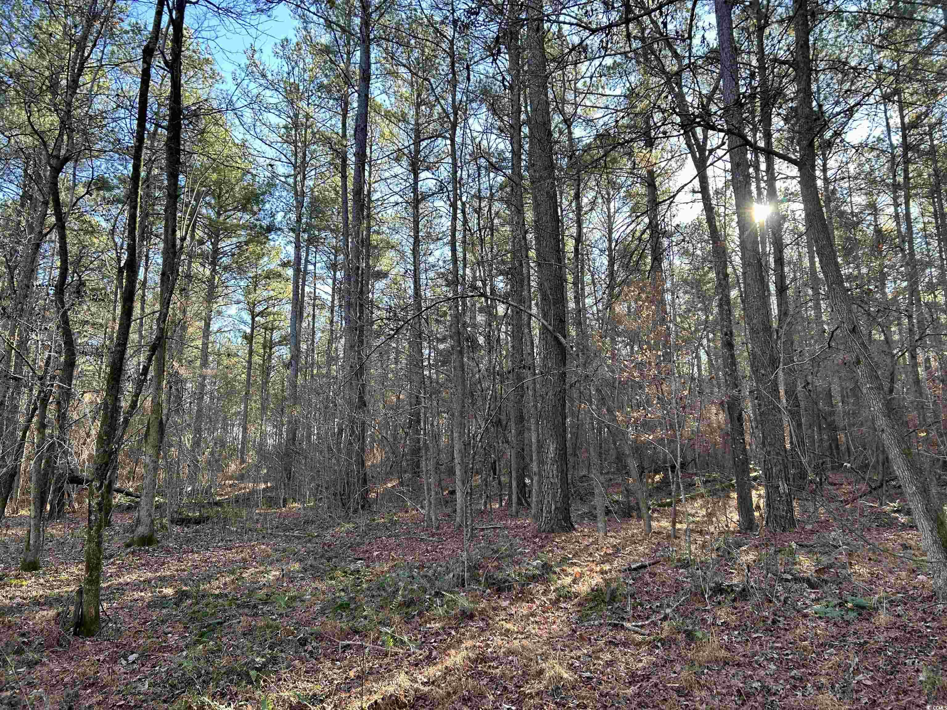 Duckwood Road Heath Springs, SC 29058 - Photo 2 of 11