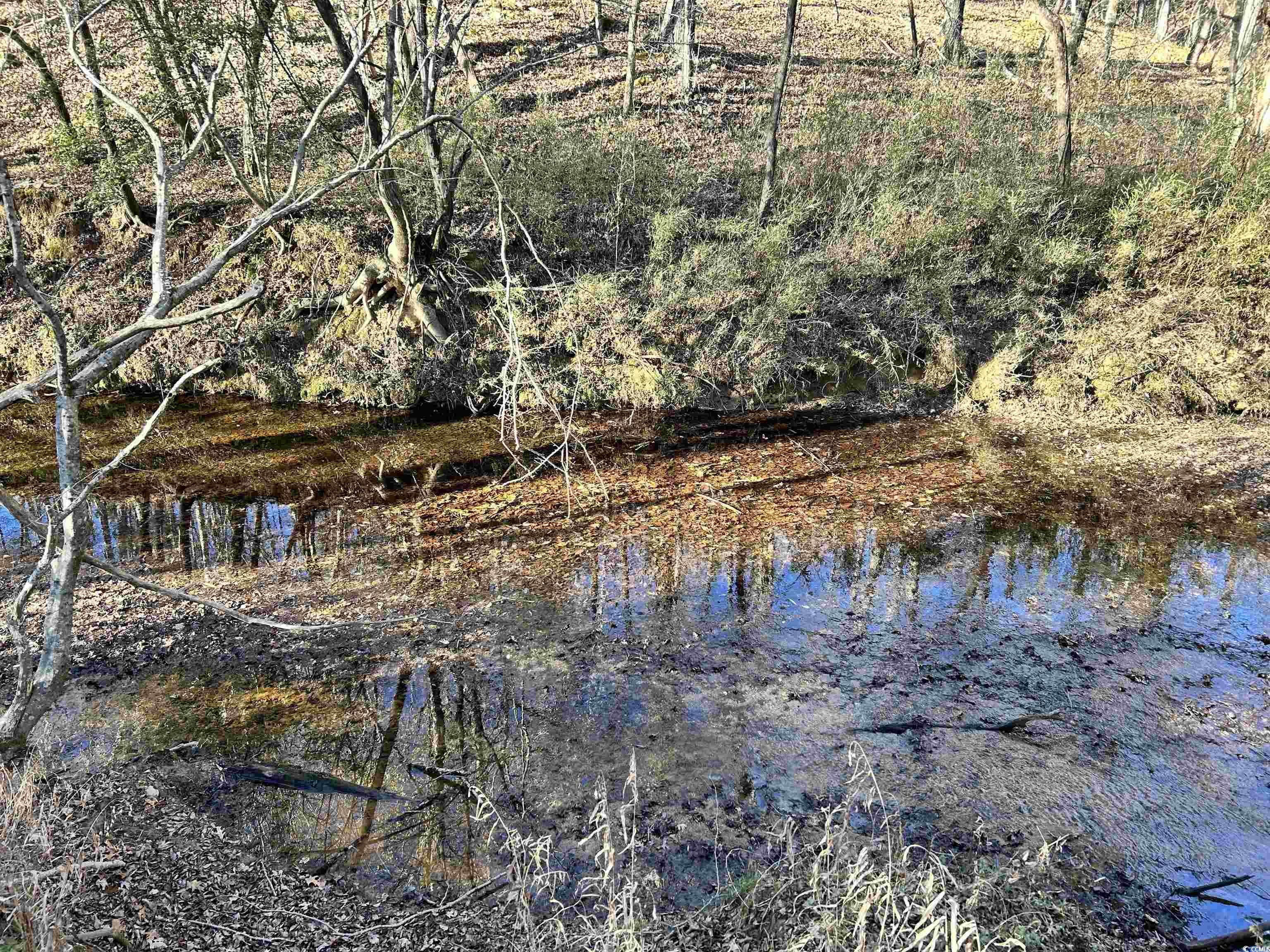 Duckwood Road Heath Springs, SC 29058 - Photo 3 of 11