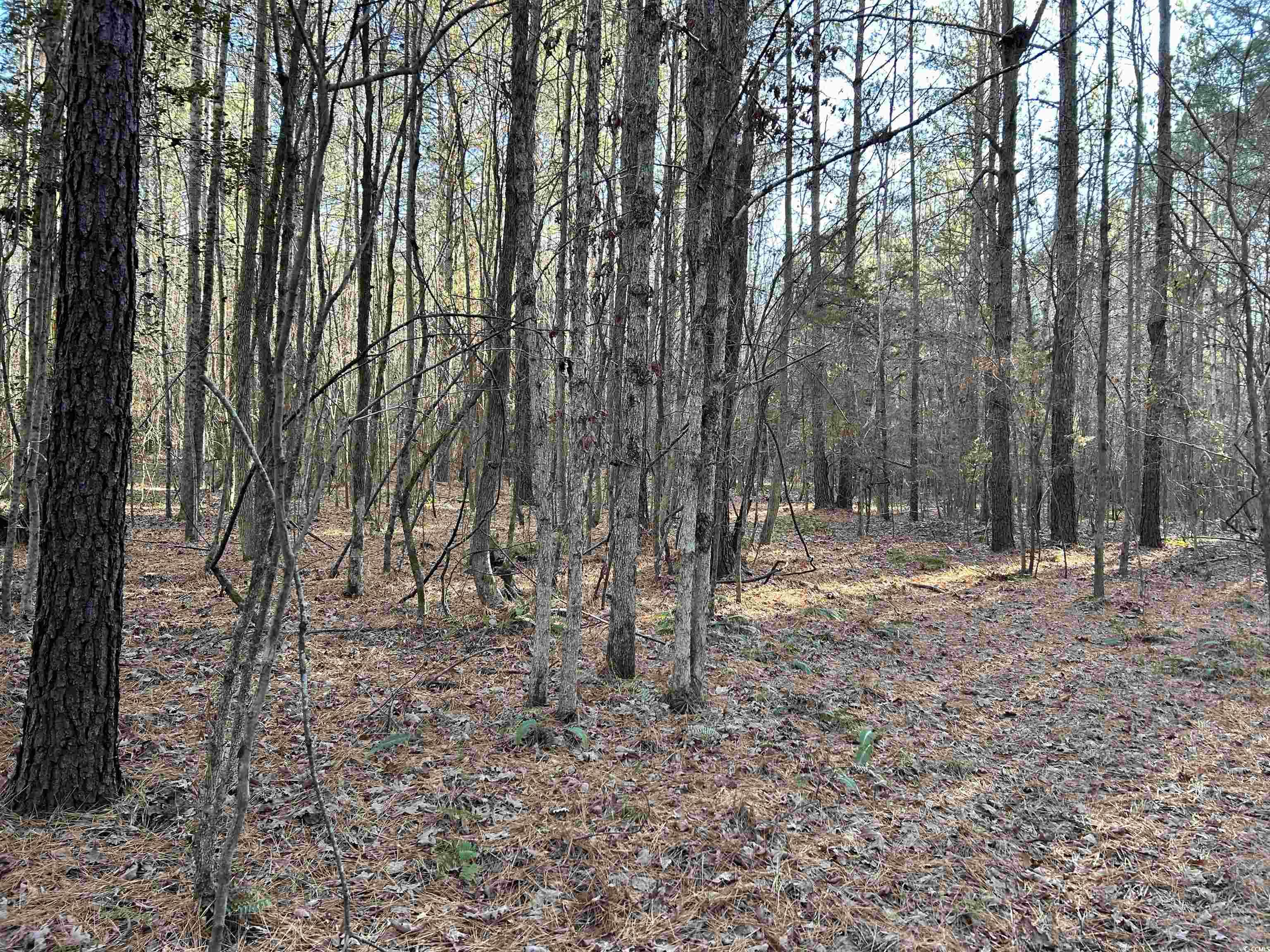 Duckwood Road Heath Springs, SC 29058 - Photo 4 of 11