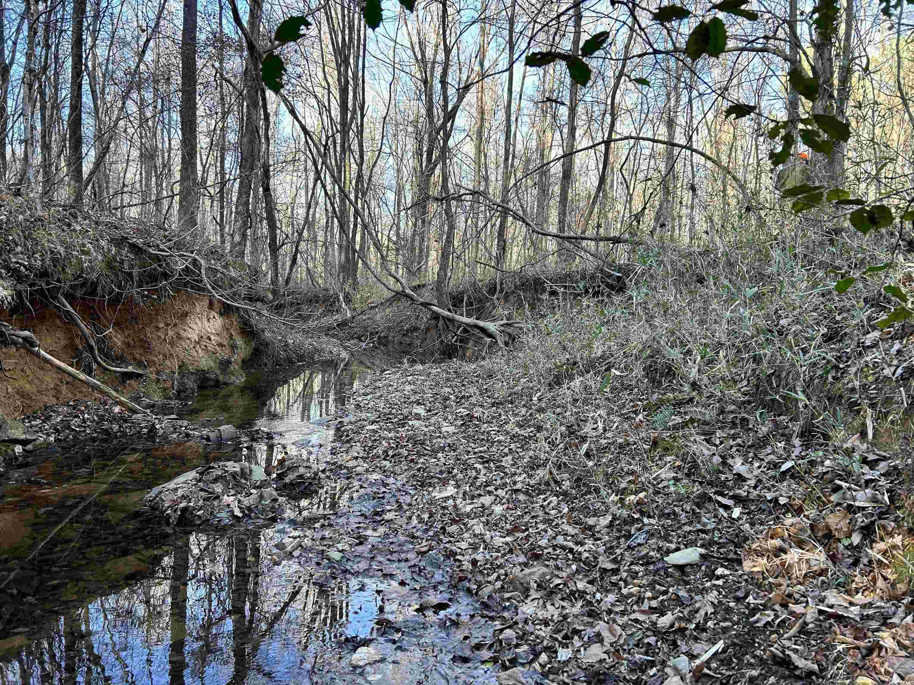 Duckwood Road Heath Springs, SC 29058 - Photo 6 of 11