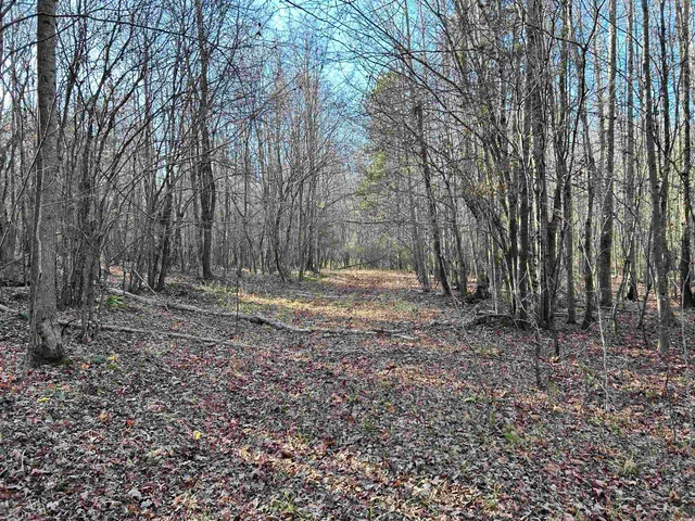 $1,332,500 | Duckwood Road, Heath Springs, SC 29058