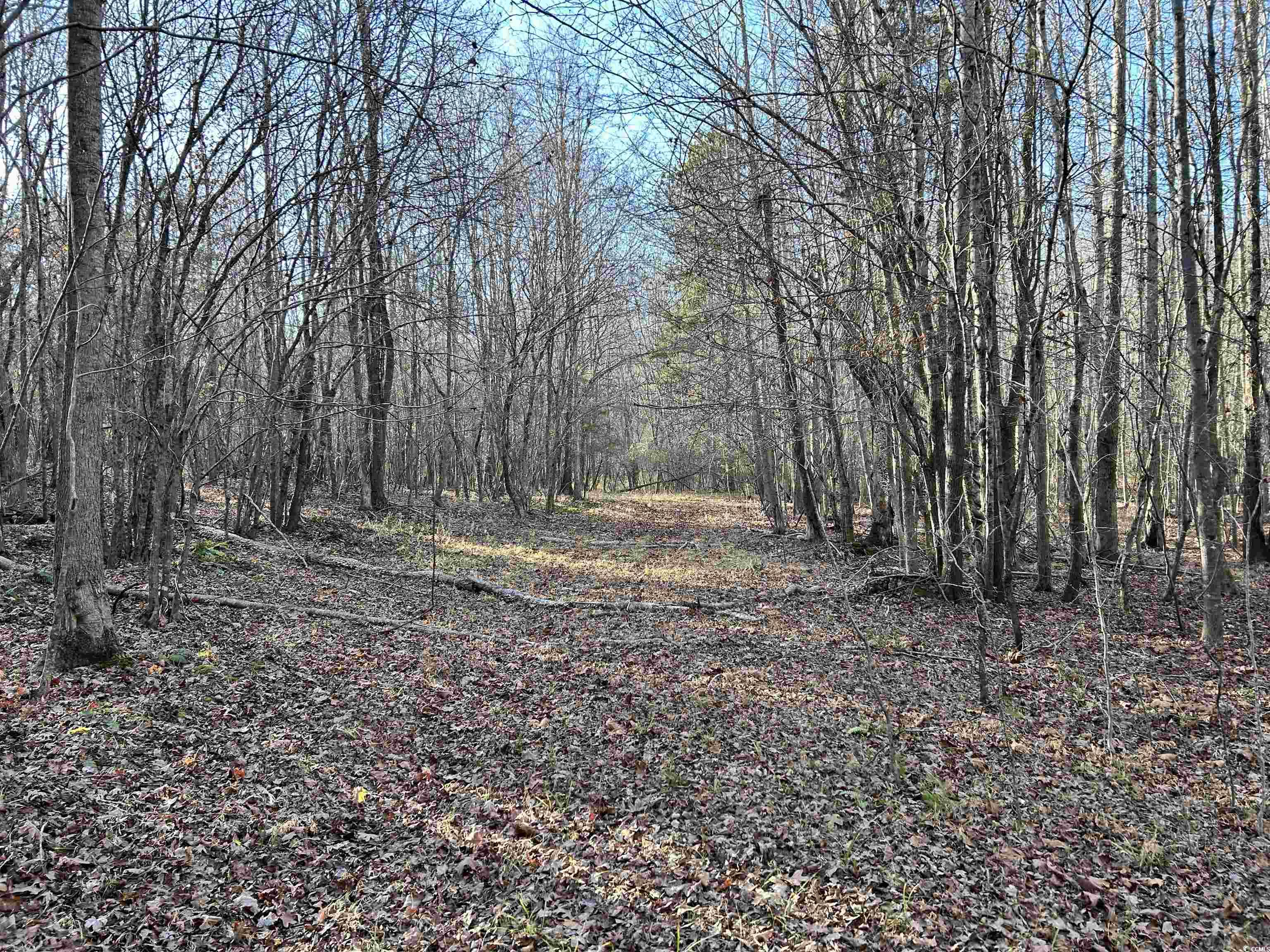 Duckwood Road Heath Springs, SC 29058 - Photo 7 of 11