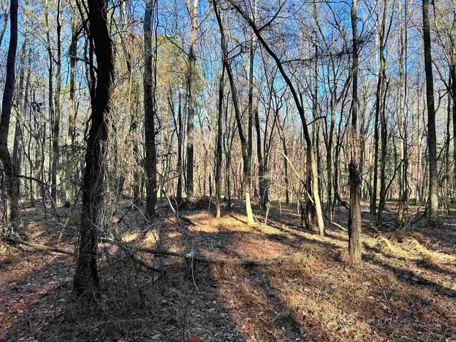 $1,332,500 | Duckwood Road, Heath Springs, SC 29058