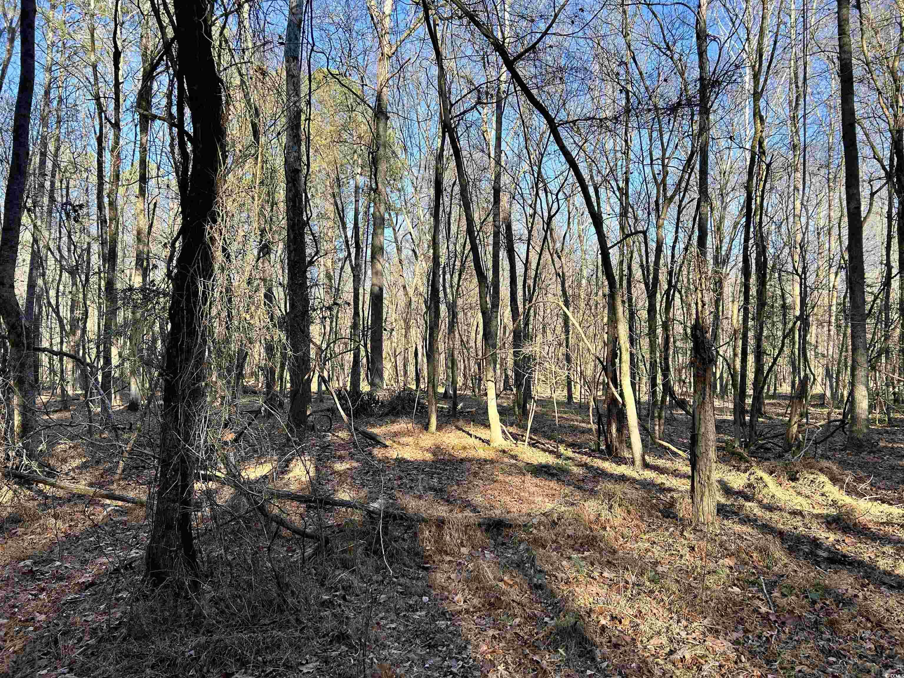 Duckwood Road Heath Springs, SC 29058 - Photo 8 of 11