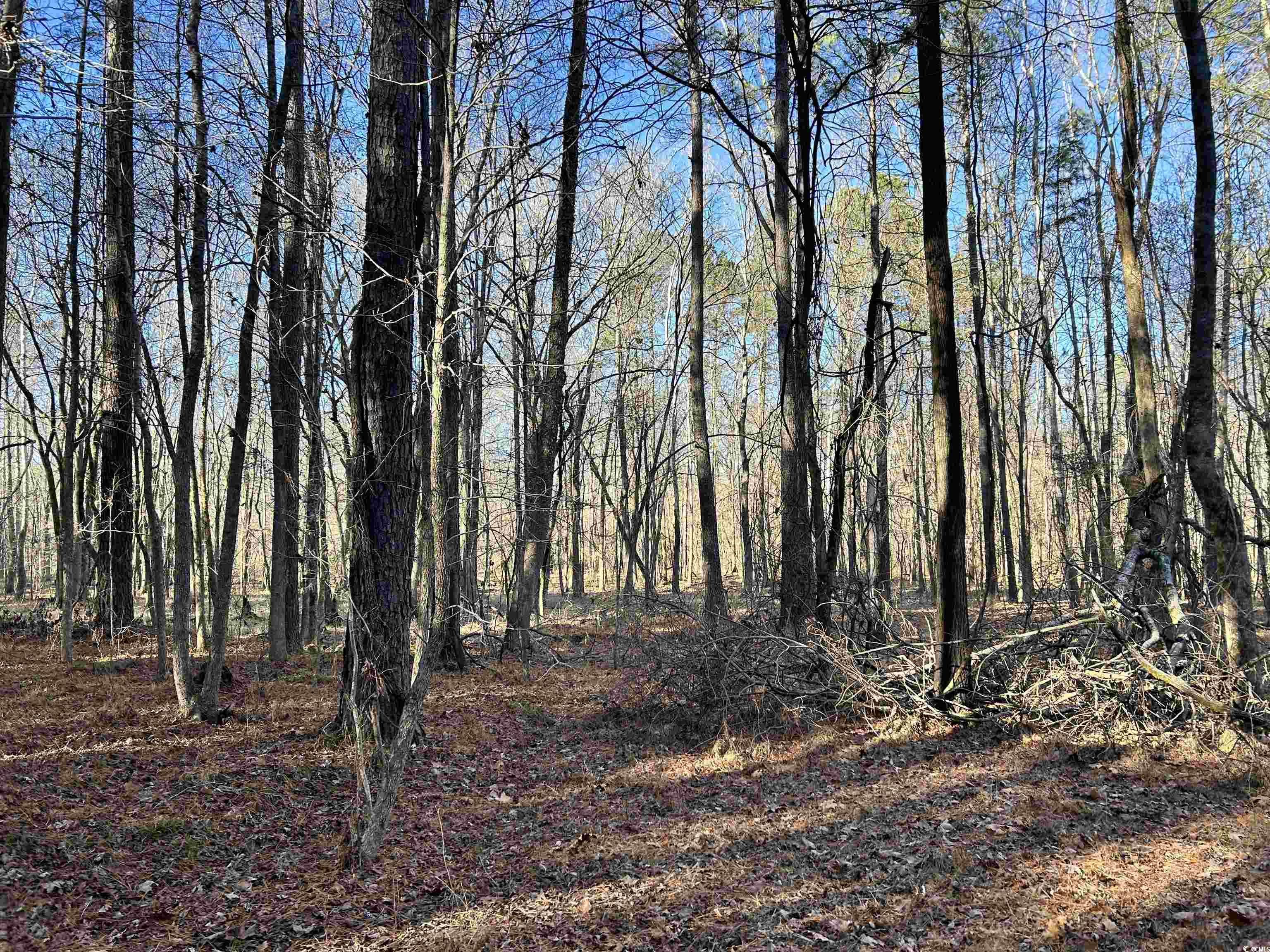 Duckwood Road Heath Springs, SC 29058 - Photo 9 of 11