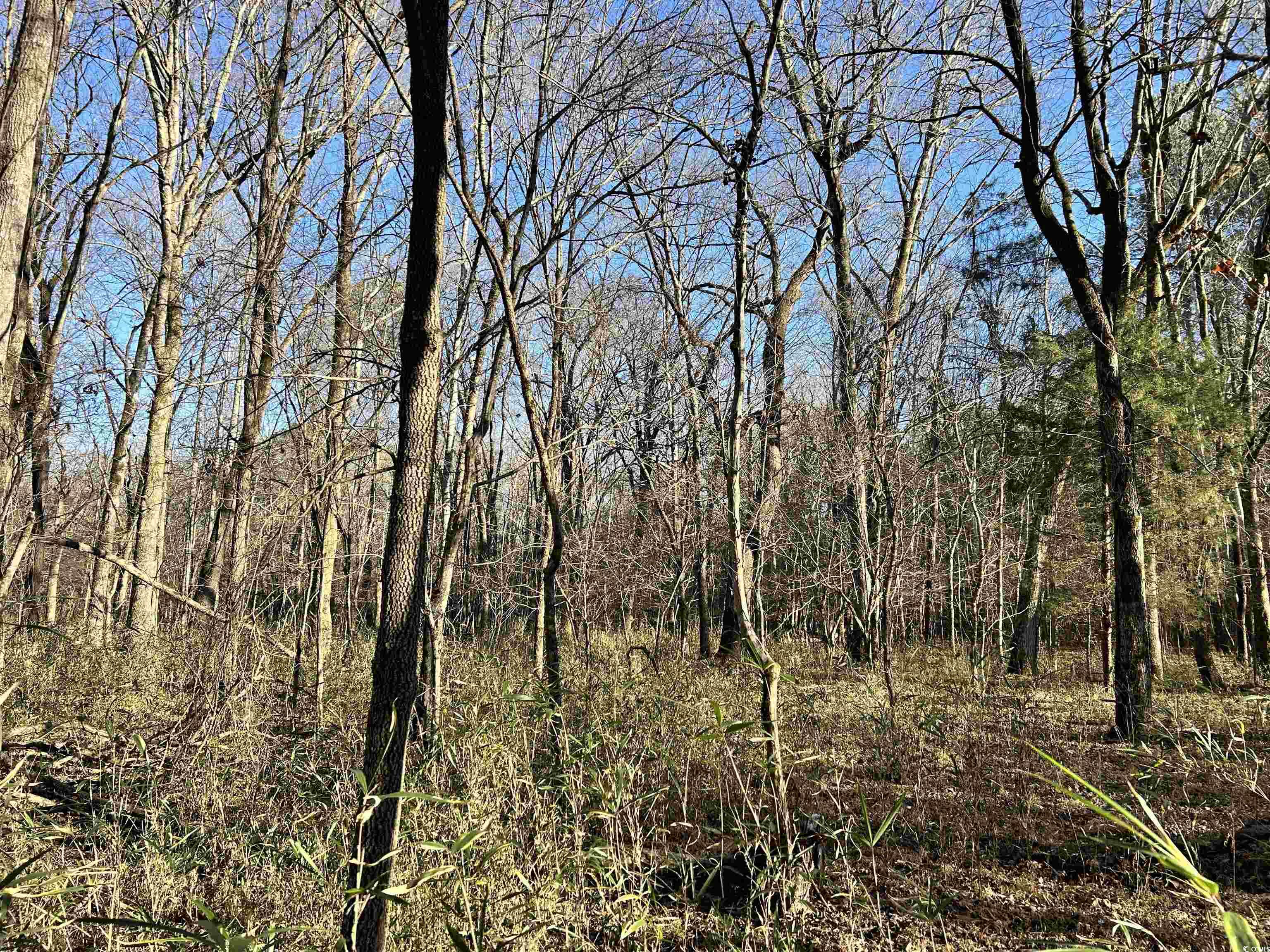 Duckwood Road Heath Springs, SC 29058 - Photo 10 of 11