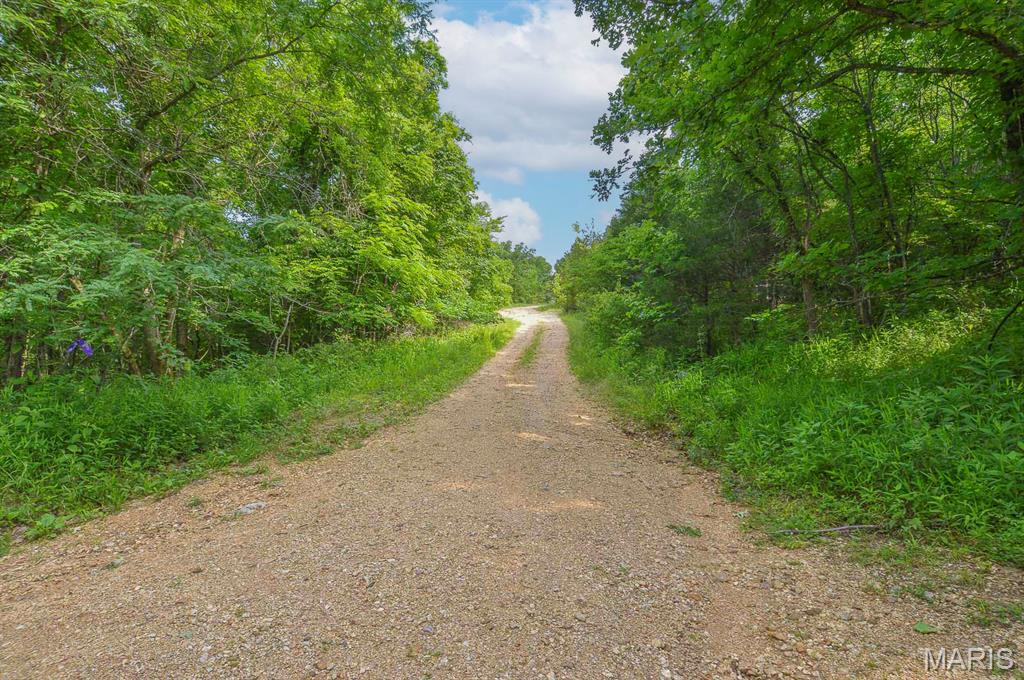Tbb Tbb Barclay Springs Road Lebanon, MO 65536 - Photo 6 of 13